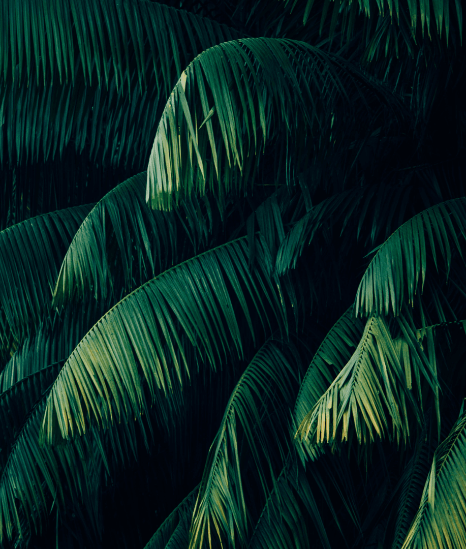hero-header